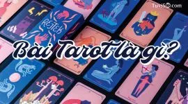 Bói Bài Tarot là gì? Tất tần tật những điều bạn cần biết về bài Tarot