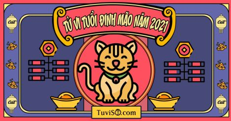 Tử vi tuổi Đinh Mão năm 2021 nam mạng: Thái Âm che chở ...