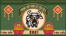 Phong thủy hung cát tuổi Sửu năm 2021: Kỵ nuôi mèo