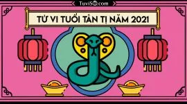 Tử vi tuổi Tân Tỵ năm 2021 nam mạng: Học hành tiến tới