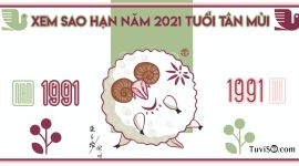 Xem sao hạn năm 2021 tuổi Tân Mùi 1991: Thái Âm, Thái Bạch tụ hội