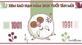 Xem sao hạn năm 2021 tuổi Tân Mùi 1991: Thái Âm, Thái Bạch tụ hội