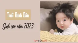 Tuổi Bính Dần 1986 sinh con năm 2023: Cảm tình dễ rạn nứt
