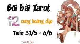 Bói bài Tarot tuần 31/5 - 6/6 cho 12 cung hoàng đạo: Mặt Trăng tạo nên cảm giác u sầu
