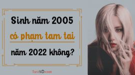 Sinh năm 2005 có phạm tam tai năm 2022 không: Kiên định với mục tiêu đề ra