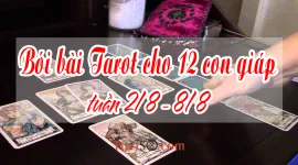 Bói bài Tarot cho 12 con giáp tuần 2/8 - 8/8: Sinh tồn mùa giãn cách