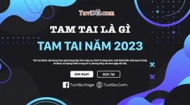 Tam tai năm 2023: Ứng họa 3 năm cầu may 9 năm